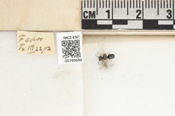 Media type: image;   Entomology 790686 Aspect: Labels